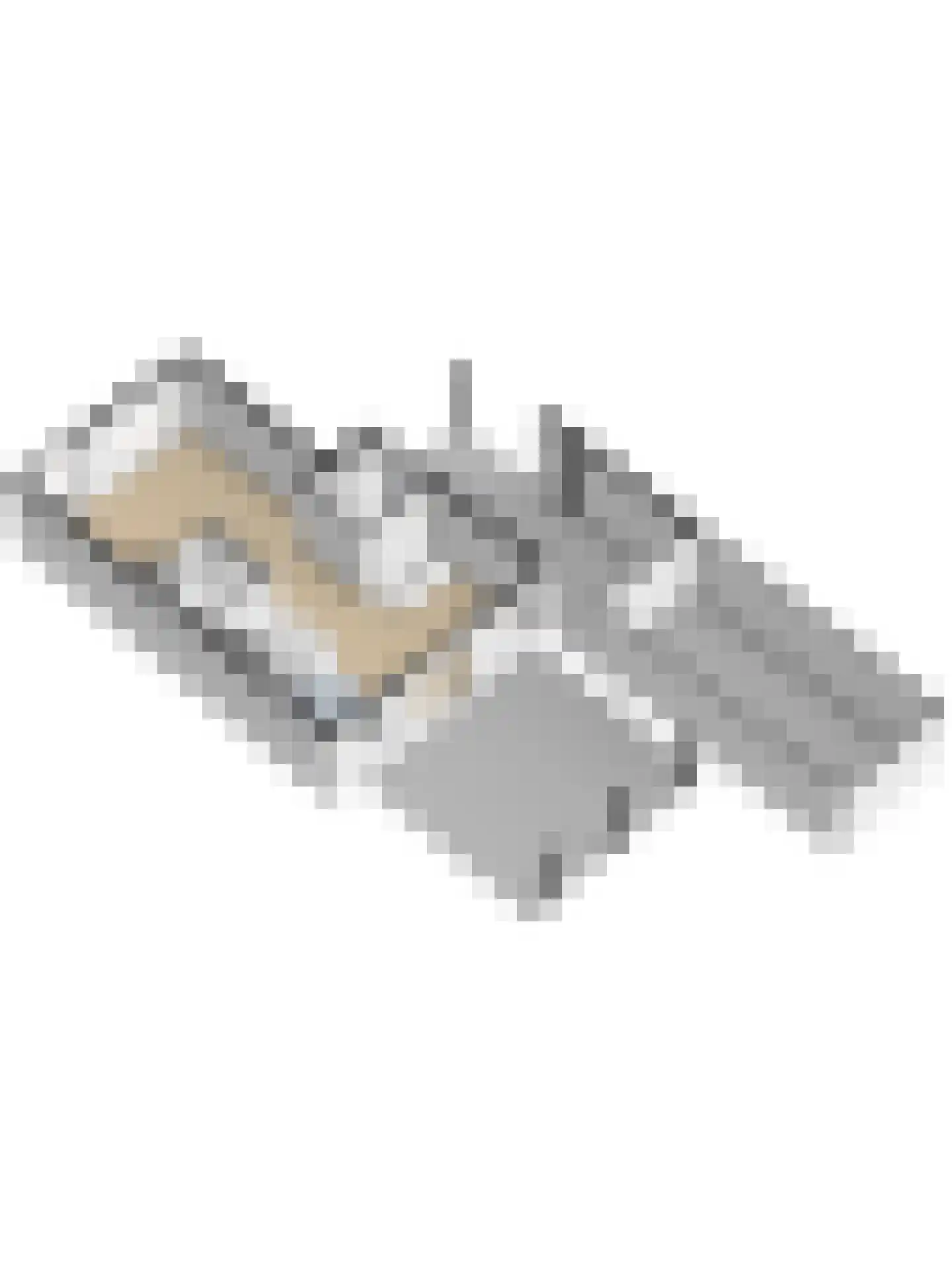 Dreef 48 Drempt thumbnail 62