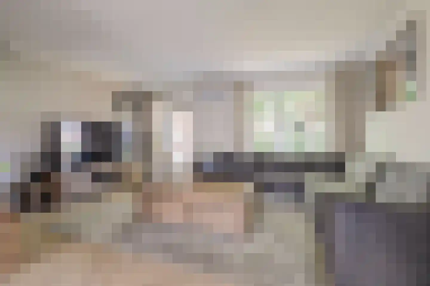 Dreef 48 Drempt thumbnail 8