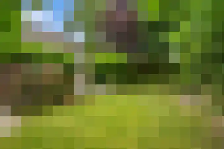 Dreef 50 Nieuw-Beijerland thumbnail 16