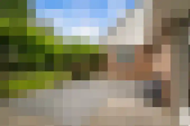 Dreef 50 Nieuw-Beijerland thumbnail 18