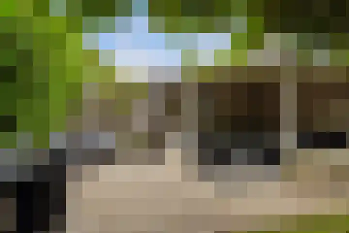 Dreef 50 Nieuw-Beijerland thumbnail 20