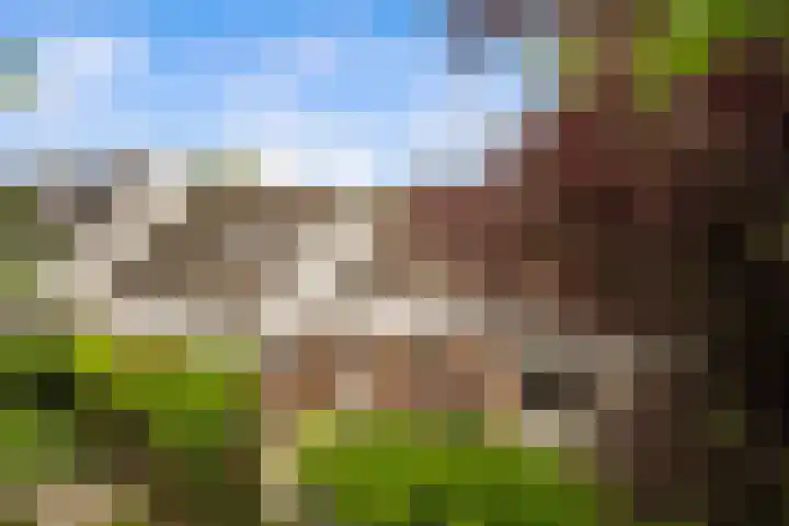 Dreef 50 Nieuw-Beijerland thumbnail 21