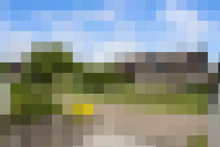 Dreef 50 Nieuw-Beijerland thumbnail 37