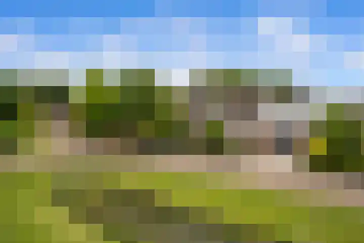 Dreef 50 Nieuw-Beijerland thumbnail 41