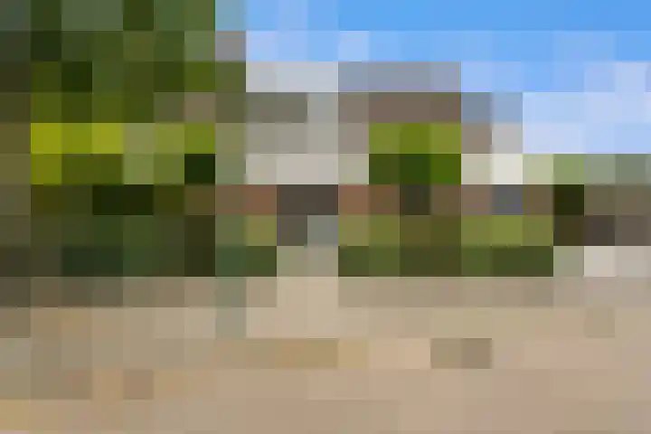 Dreef 50 Nieuw-Beijerland thumbnail 42