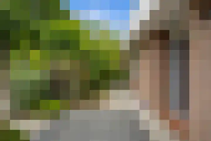 Dreef 50 Nieuw-Beijerland thumbnail 6