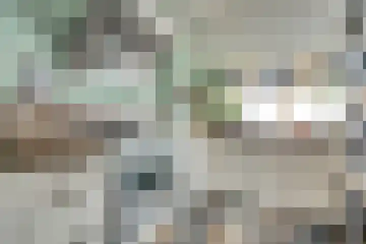 Dreef 56 Hellevoetsluis thumbnail 12