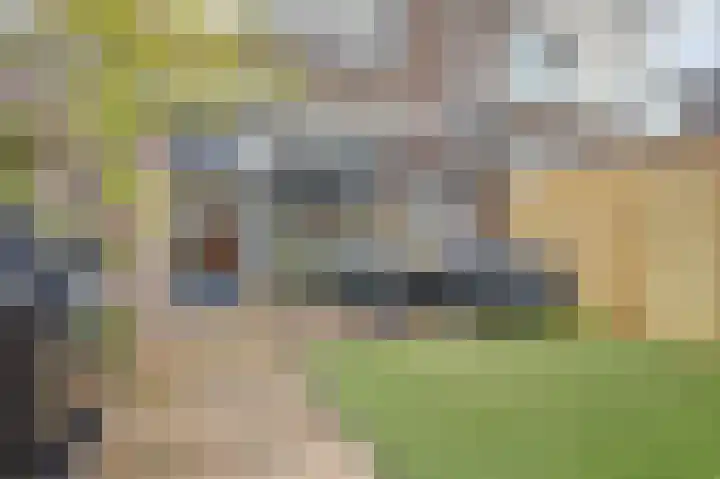 Dreef 56 Hellevoetsluis foto 2