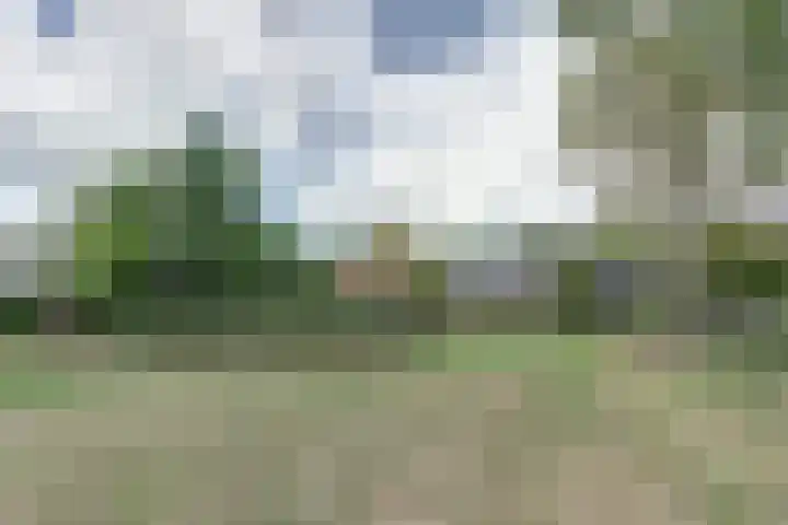 Dreef 56 Hellevoetsluis thumbnail 22