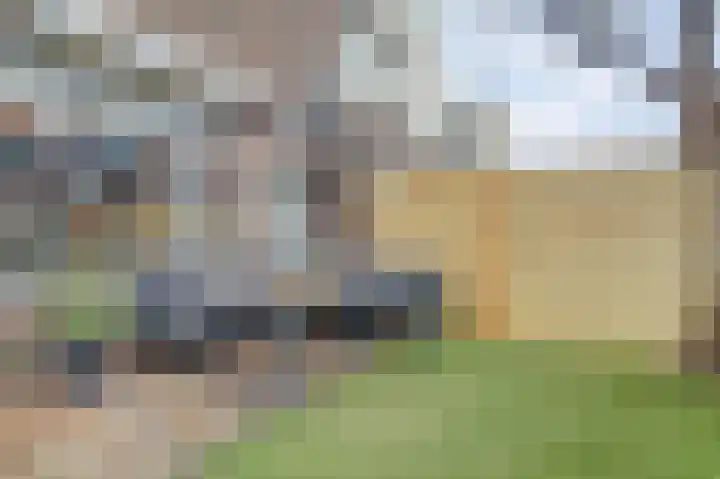 Dreef 56 Hellevoetsluis thumbnail 31