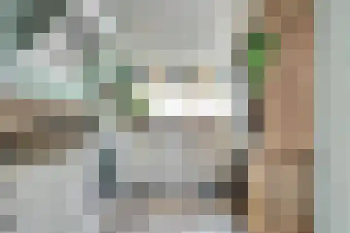 Dreef 56 Hellevoetsluis thumbnail 4