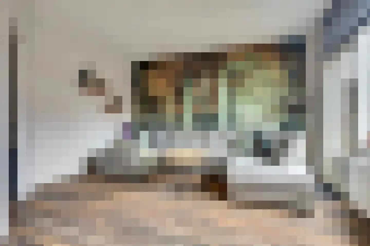 Dreef 58 Hellevoetsluis thumbnail 11