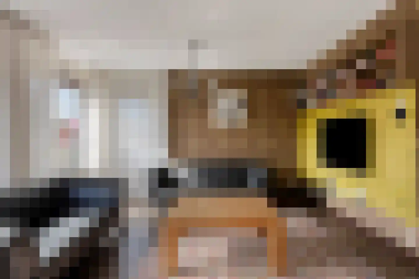 Dreef 59 Biddinghuizen thumbnail 11