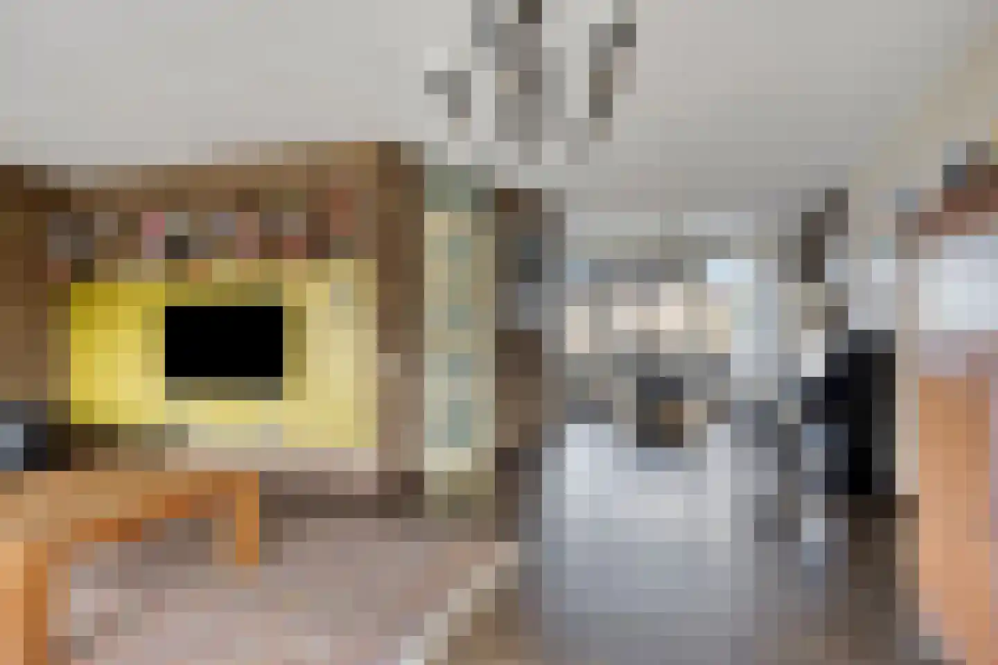 Dreef 59 Biddinghuizen thumbnail 12