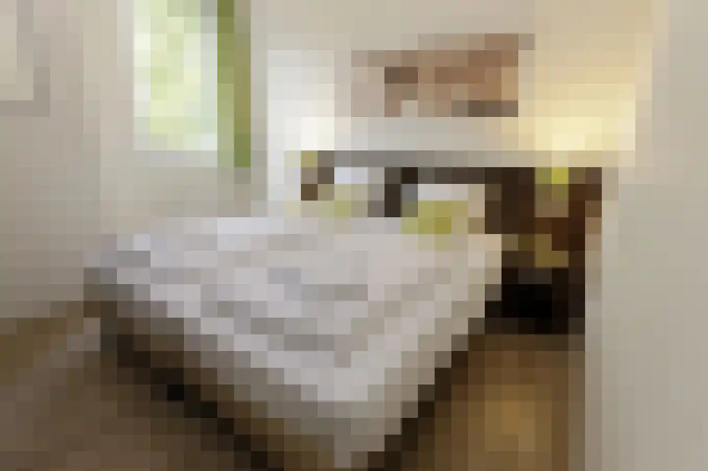 Dreef 6 127 Deventer thumbnail 7
