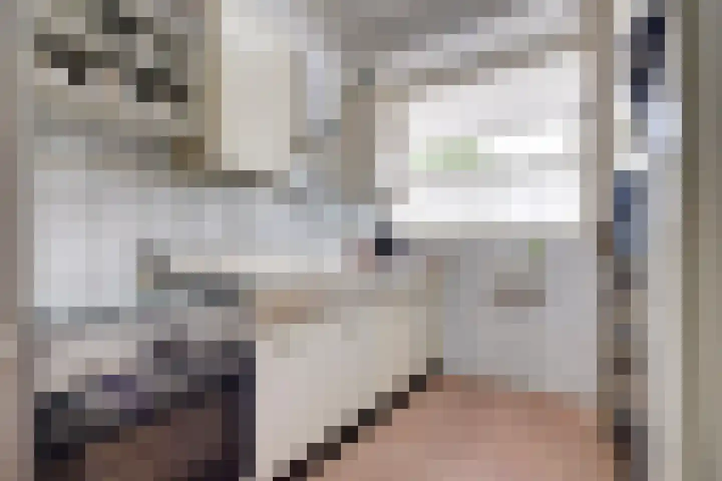 Dreef 6 Gouda thumbnail 17