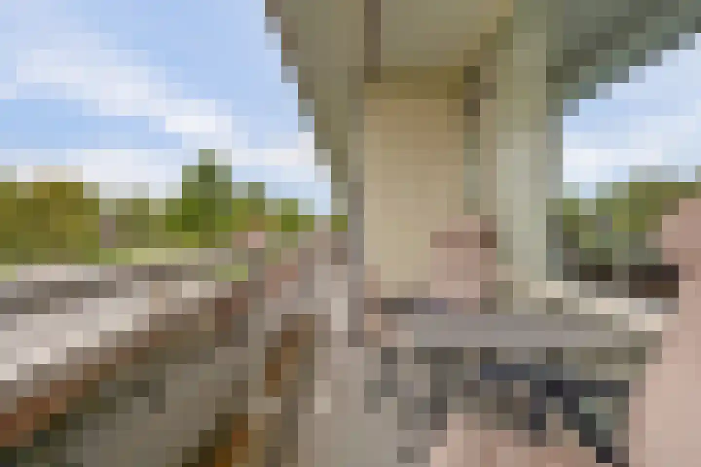 Dreef 6 Gouda thumbnail 21