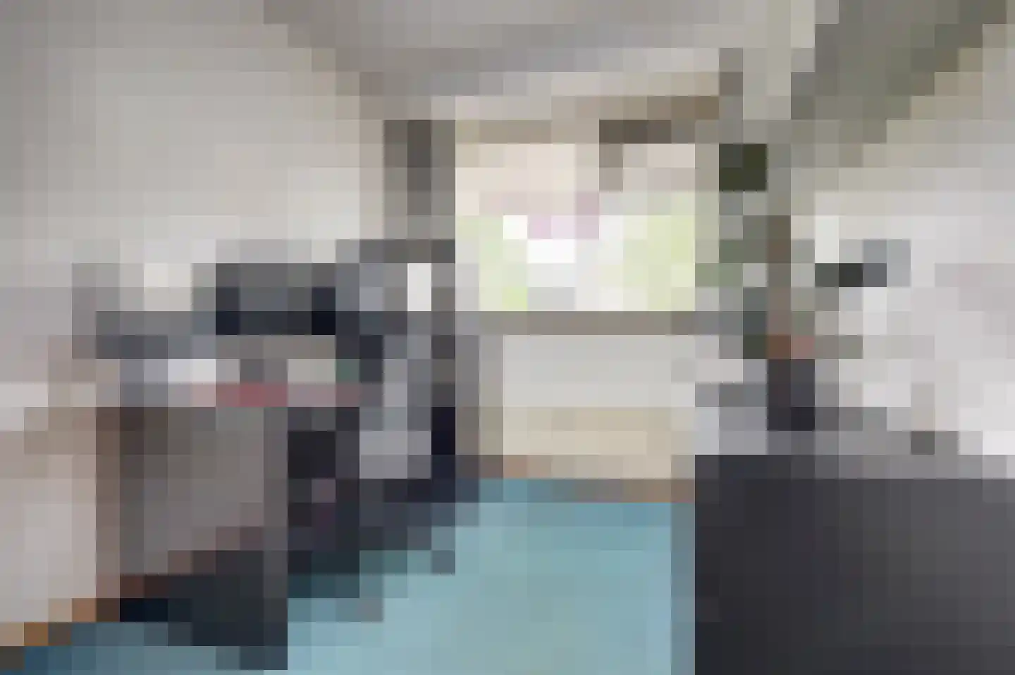 Dreef 6 Gouda thumbnail 24