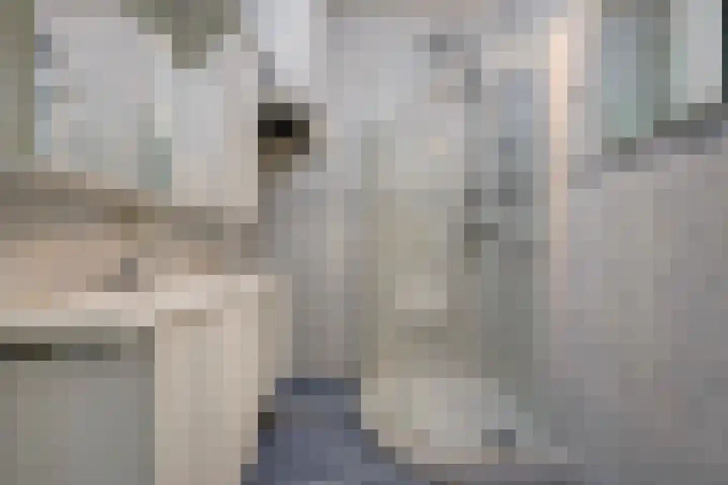 Dreef 6 Gouda thumbnail 25