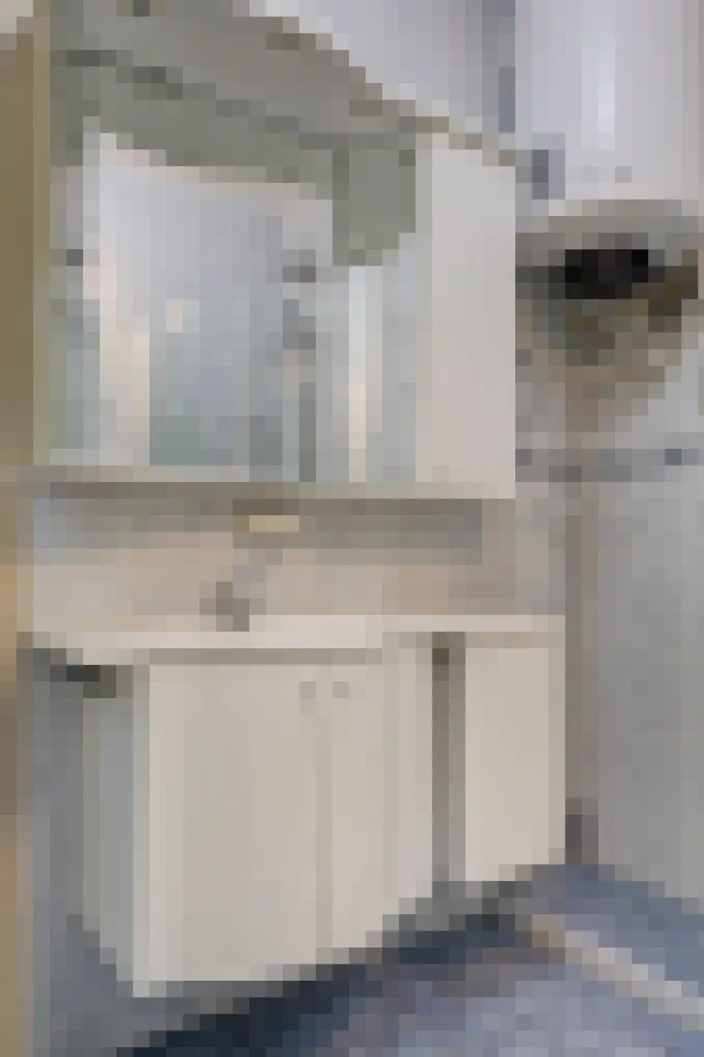 Dreef 6 Gouda thumbnail 26