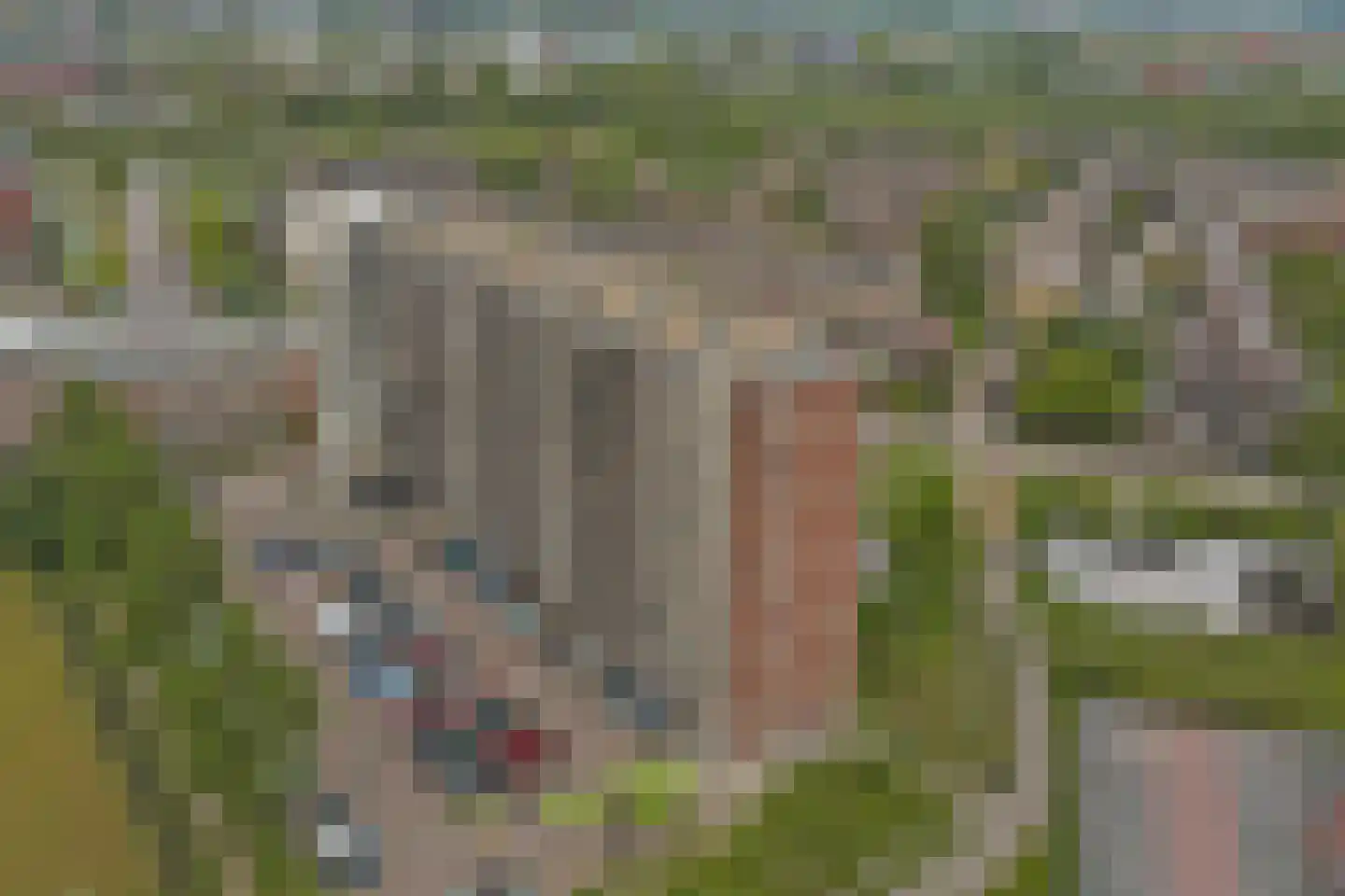 Dreef 6 Gouda thumbnail 34