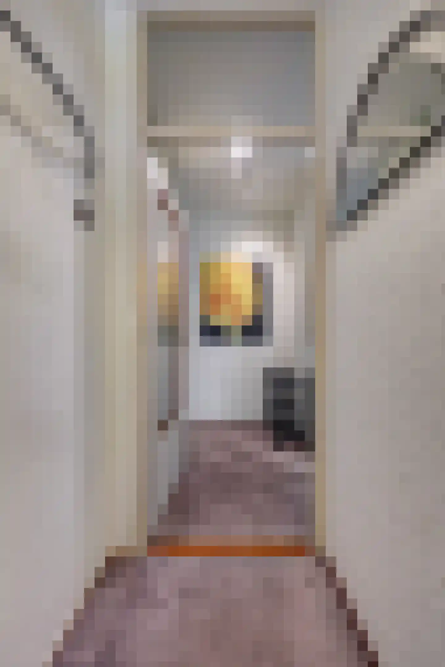 Dreef 6 Gouda thumbnail 9