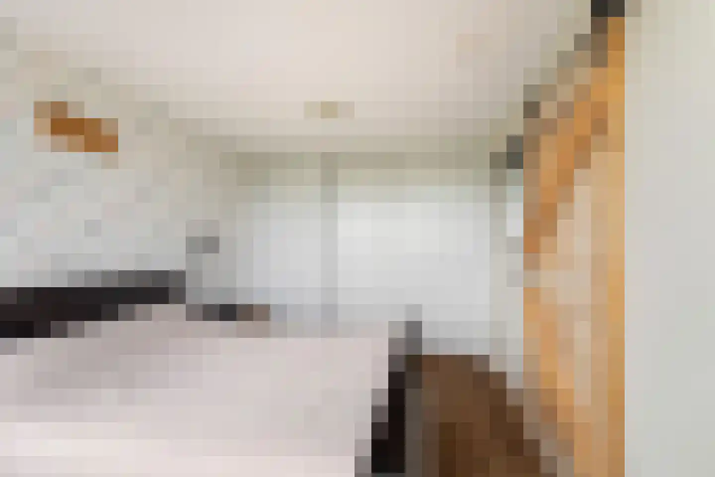 Dreef 60 Berkenwoude thumbnail 21