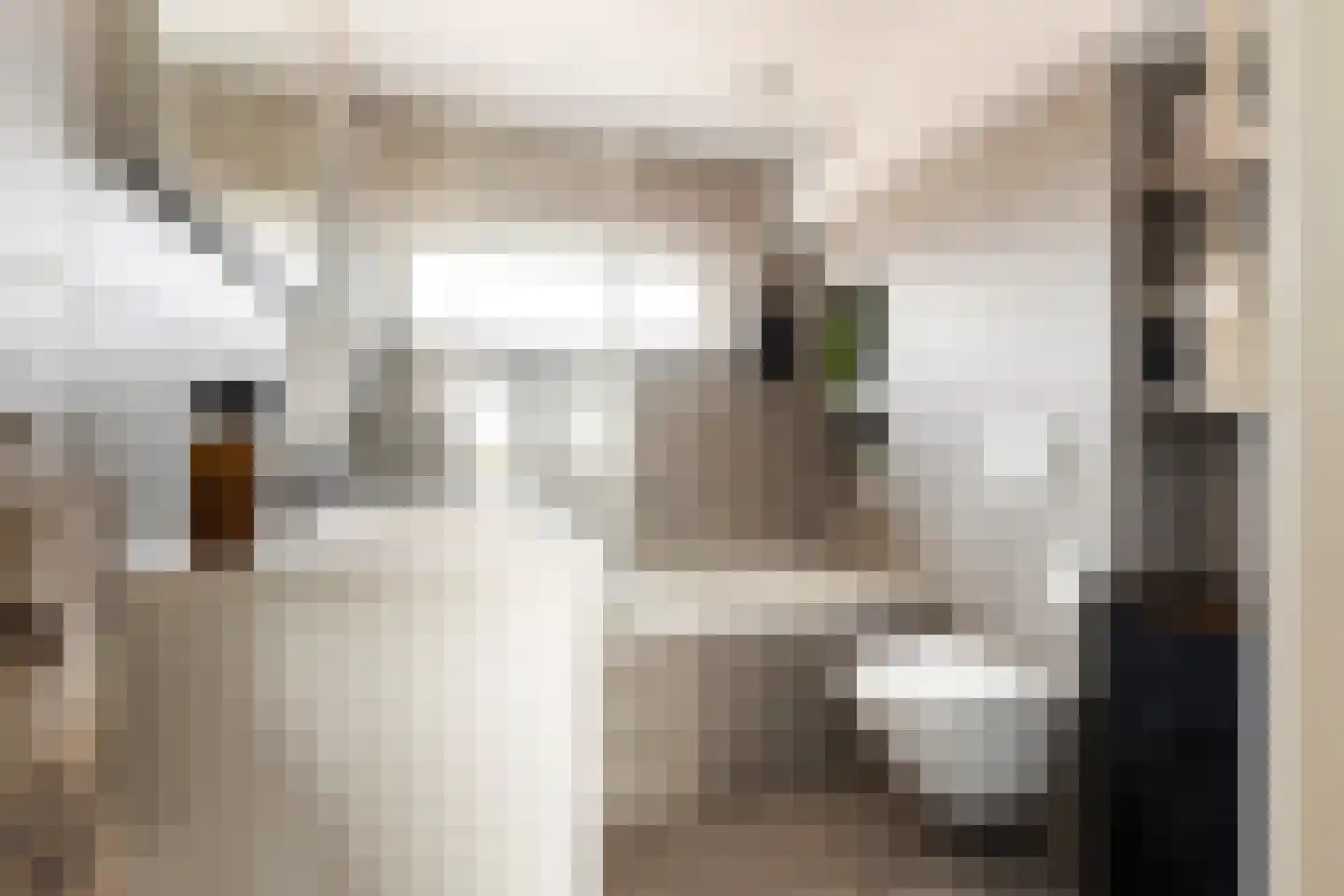 Dreef 60 Berkenwoude thumbnail 26