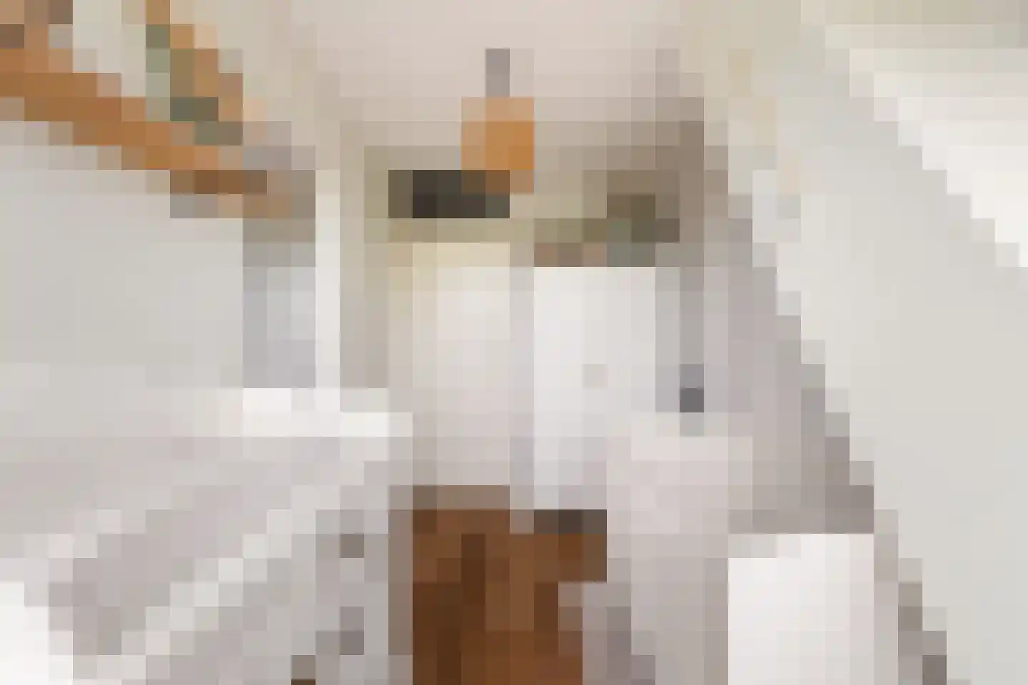 Dreef 60 Berkenwoude thumbnail 29