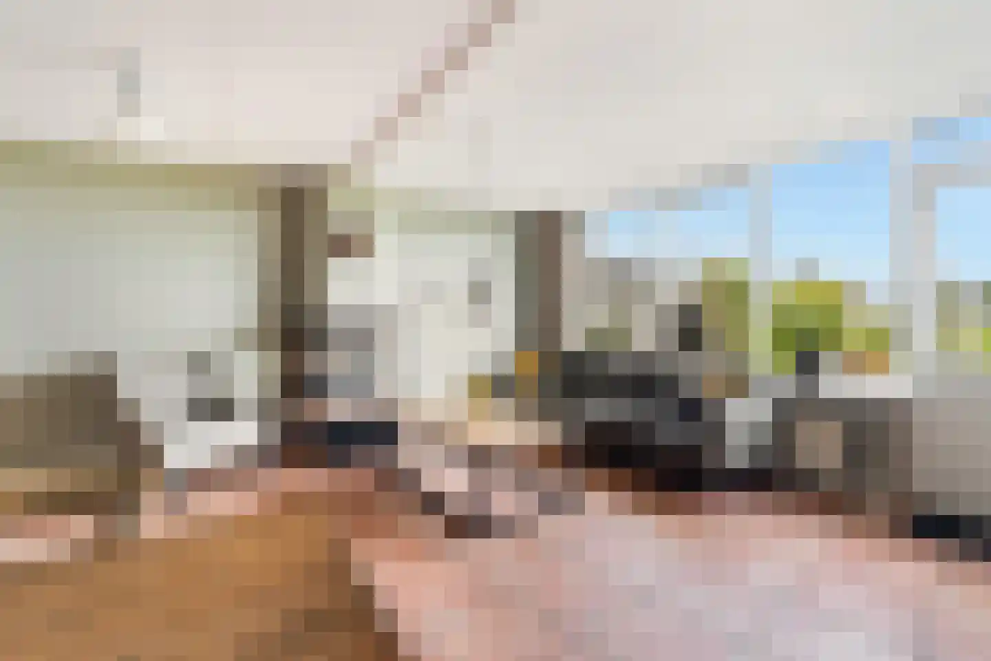 Dreef 60 Berkenwoude thumbnail 7