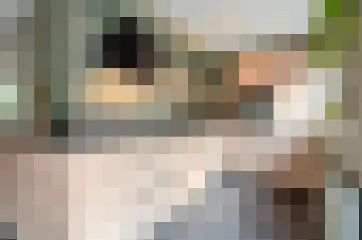Dreef 60 Biddinghuizen thumbnail 15