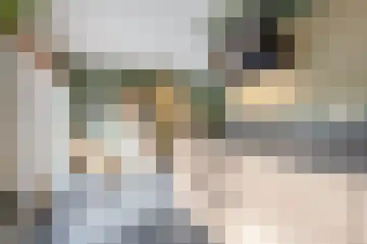 Dreef 60 Biddinghuizen thumbnail 16