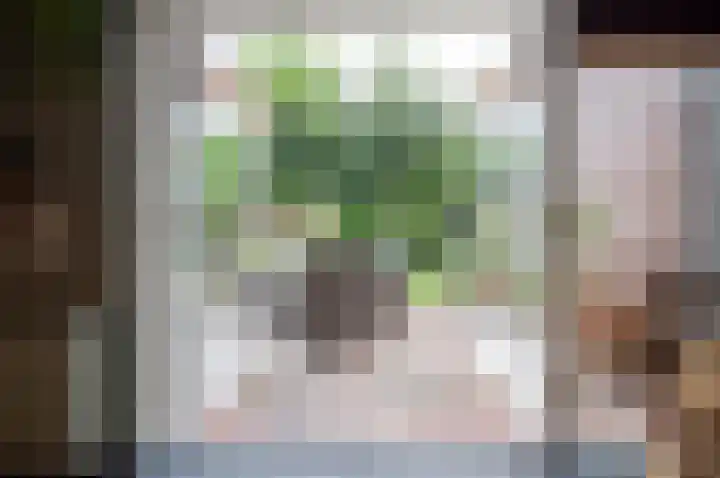 Dreef 60 Biddinghuizen thumbnail 18