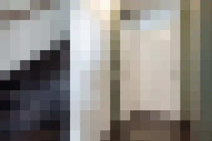 Dreef 60 Biddinghuizen thumbnail 19