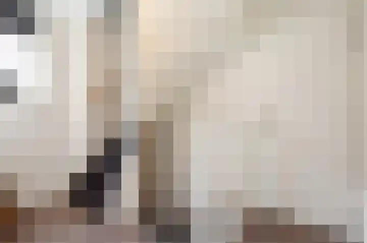 Dreef 60 Biddinghuizen thumbnail 20