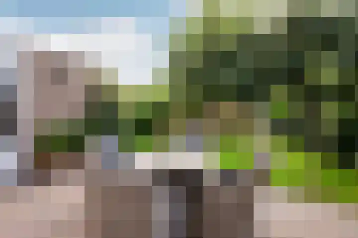 Dreef 60 Biddinghuizen thumbnail 32