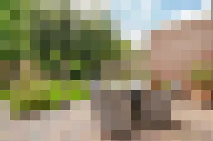 Dreef 60 Biddinghuizen thumbnail 33