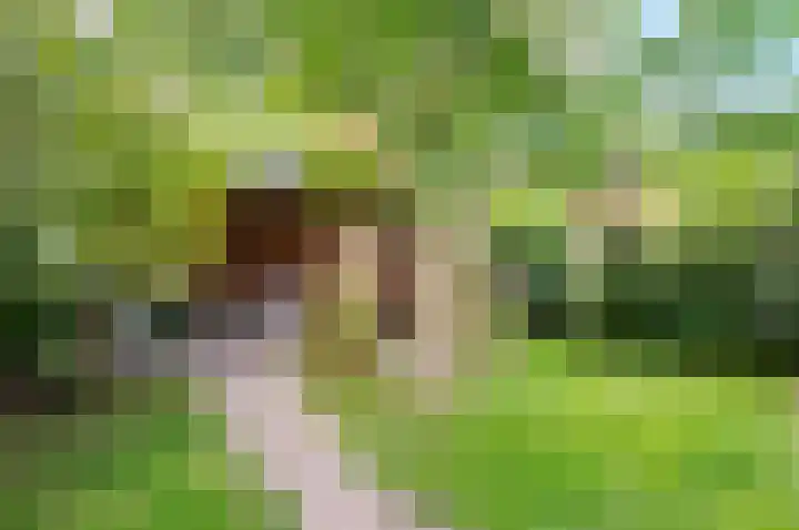 Dreef 60 Biddinghuizen thumbnail 34