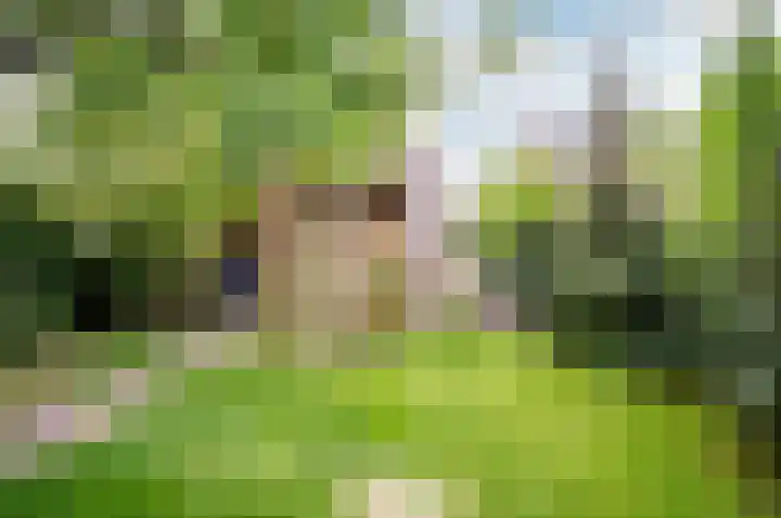 Dreef 60 Biddinghuizen thumbnail 35
