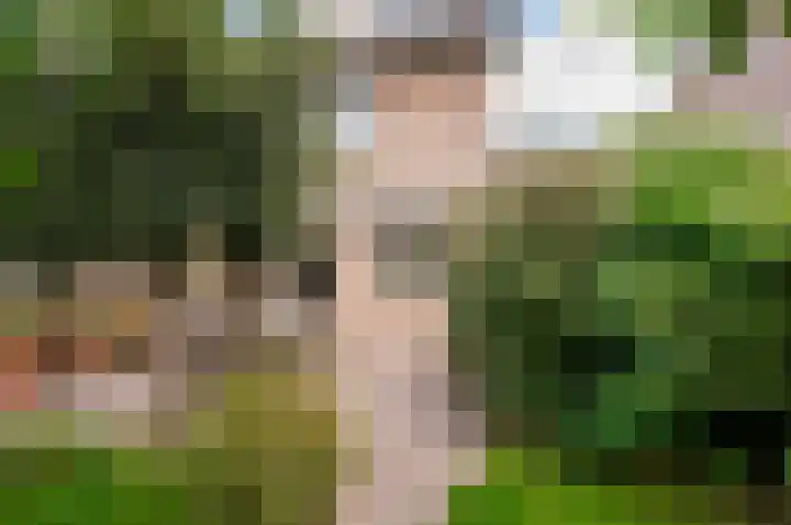 Dreef 60 Biddinghuizen thumbnail 37