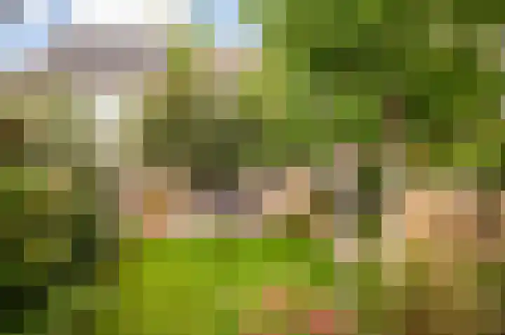 Dreef 60 Biddinghuizen thumbnail 38