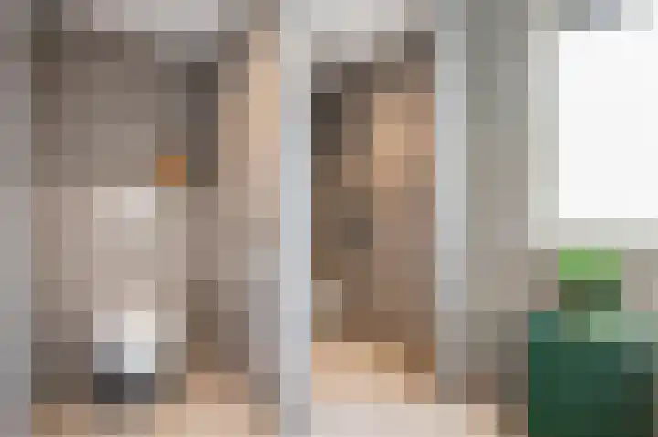 Dreef 60 Biddinghuizen thumbnail 4