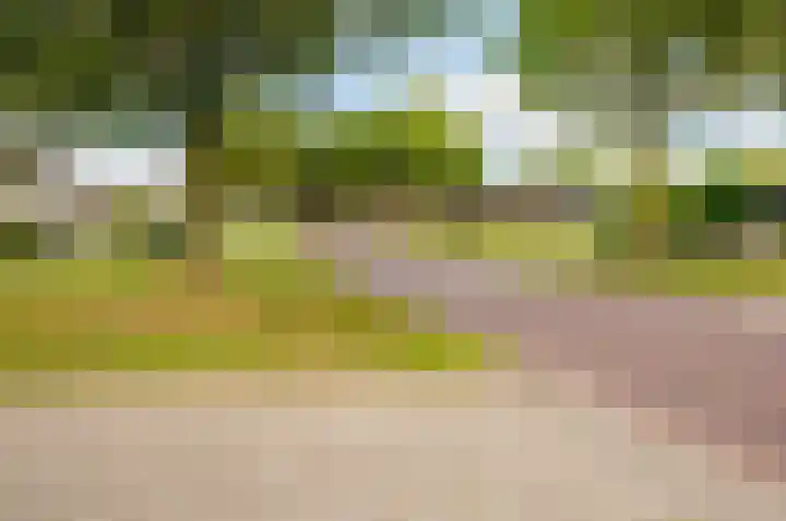 Dreef 60 Biddinghuizen thumbnail 40