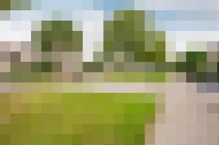 Dreef 60 Biddinghuizen thumbnail 41