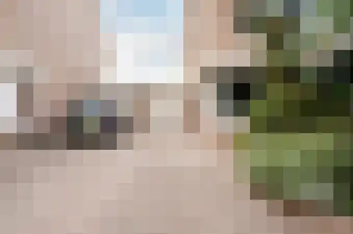 Dreef 60 Biddinghuizen thumbnail 42