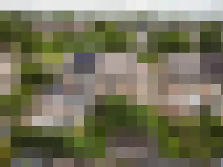 Dreef 60 Biddinghuizen thumbnail 46