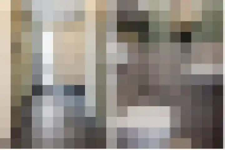 Dreef 60 Biddinghuizen thumbnail 7