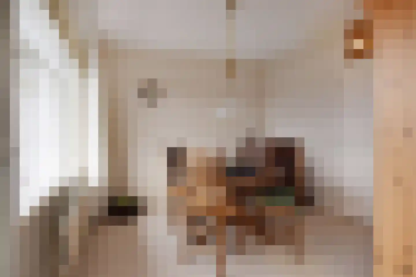 Dreef 60 Gouda thumbnail 12