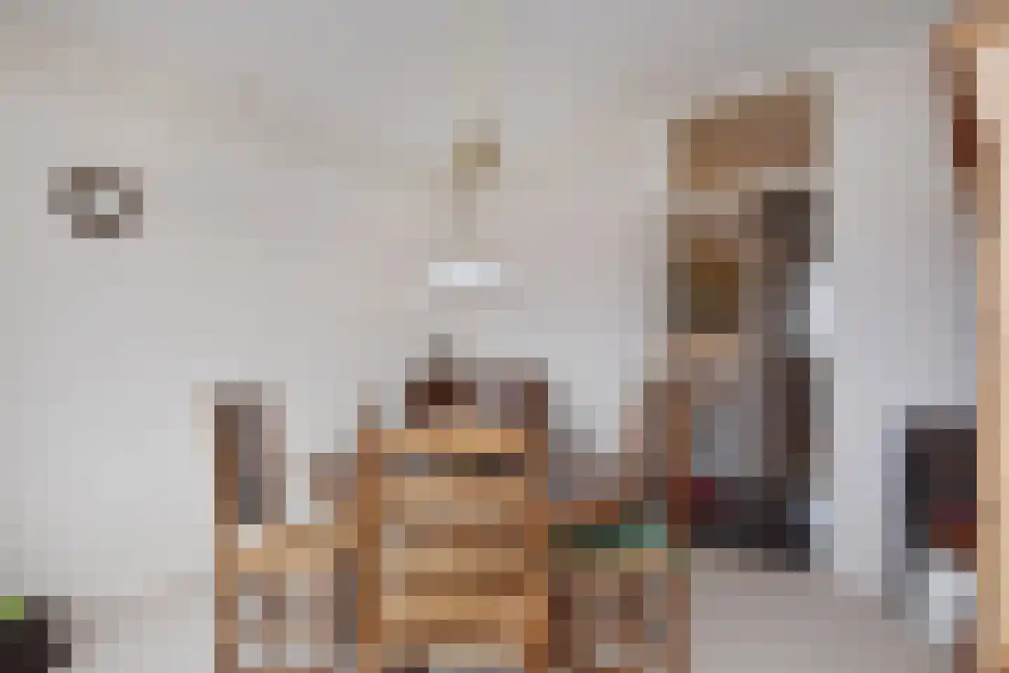 Dreef 60 Gouda thumbnail 13