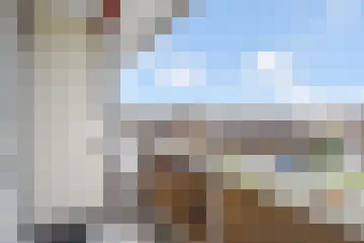 Dreef 60 Gouda thumbnail 15